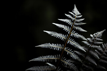 image of close up fern leaves on an edge, in the style of dark, moody landscape, high detailed