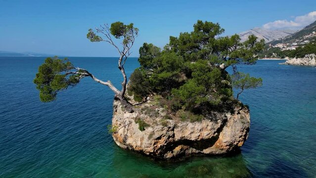 The symbol of Brela, The Brela Stone. This rock in the sea, overgrown with pines, shows the strength and power of survival and growth from the stone itself. Natural beauty.