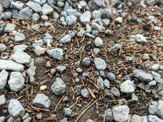 a close up of pebbles texture