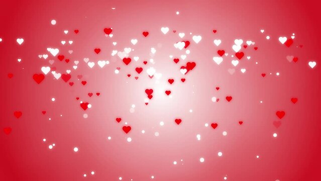 Happy Valentines Day love text and Hearts fall from top to bottom animated. love text animation.