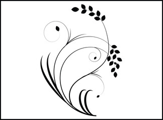 black and white fishes