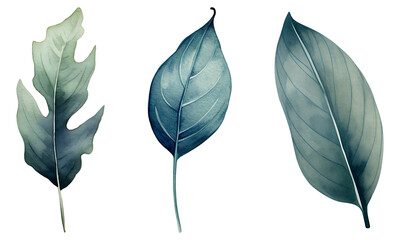 set of watercolor leaves isolated on transparent background