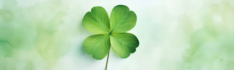Four-leaf clover watercolor. White background. St. Patrick's Day.