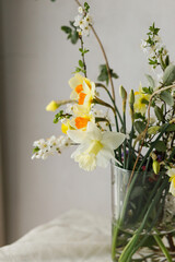 Stylish spring flowers bouquet on rustic table in rural room. Beautiful daffodils, cherry bloom and greenery composition in glass vase. Easter modern simple decor