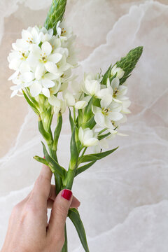 female hand holding a bouquet of white flowers