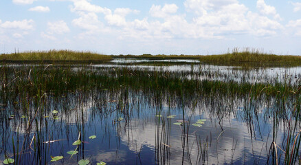 Marshes and mangroves of Everglades National Park, Florida, United States
