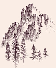 Mountains ranges hand drawing, alpine vegetation background - 719256342