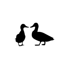    Duck icon for web and app. Isolated black silhouette on white background. Silhouettes of wild and domestic ducks. Rubber duck silhouette. Wild and domestic silhouettes
