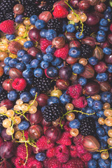 Gooseberries, blueberries, mulberry, raspberries, white and red currants.