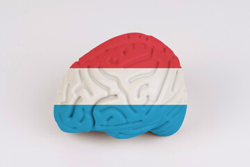 On a white background, a model of the brain with a picture of a flag - Luxembourg