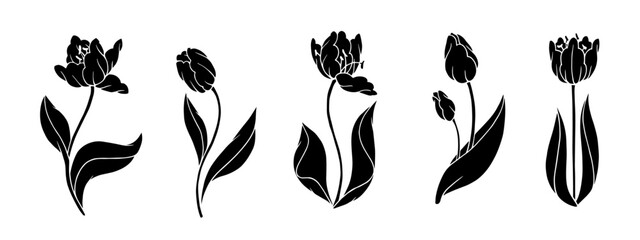 Set of silhouettes of spring flowers and tulip buds. Vector graphics.