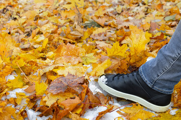 a man walks through the first snow strewn with yellow leaves.