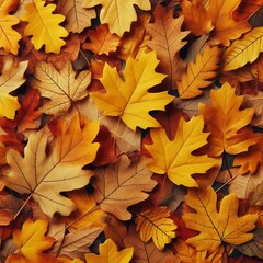 Naklejka na ściany i meble Yellow and orange autumn leaves texture on the ground, fall nature