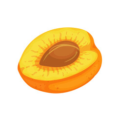 Juicy ripe piece of apricot fruit. Vector graphics.