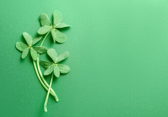 St. Patrick's Day background decorated with shamrock leaves. Patrick Day pub party celebrating....