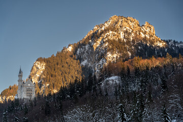 Castle Neuschwanstein in Winter