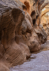 Scenic Willise Creek Slot Canyon in the Grand Staircase Escalante National Monument Utah