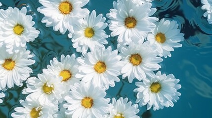 A close-up of white daisies floating on the surface of the water.
