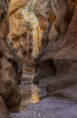 Scenic Willise Creek Slot Canyon in the Grand Staircase Escalante National Monument Utah