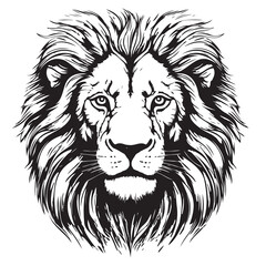 Lion portrait lion head sketch hand drawn engraving style Wild animals Vector