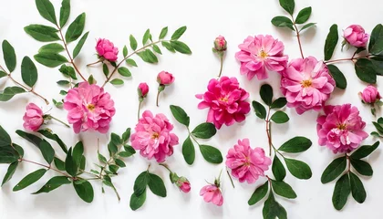 Foto op Plexiglas flowers composition pink flowers on white background flat lay top view © Leila