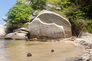 Papier Peint photo Plage de Camps Bay, Le Cap, Afrique du Sud Big sliced rock with tropical jungle vegetation near toi a clear caribbean sea water with two coconuts