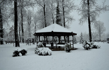 winter in the park