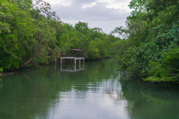 A bridge over the lake