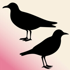 Gull Bird Black Silhouette. Drawing Gull Bird collection Set. Freehand Drawing And  Vector Illustration