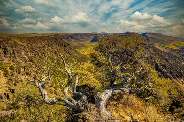 Fotobehang Big Indian gorge in the steens mountains in south cenbtral Oregon., near Frenchglen © Bob