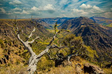 Big Indian gorge in the steens mountains in south cenbtral Oregon., near Frenchglen