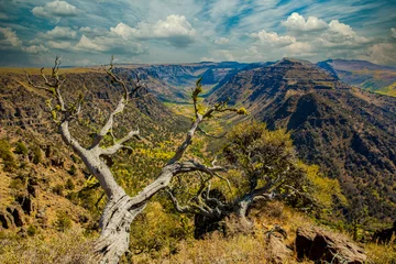 Tuinposter Big Indian gorge in the steens mountains in south cenbtral Oregon., near Frenchglen © Bob