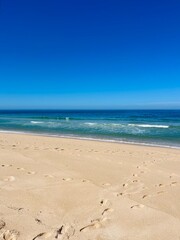 Blue seascape, sandy sea coastline, empty wild beach, pure blue sky, sea horizon