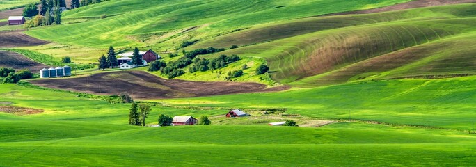 High angle view of the Palouse wheat country in the spring season