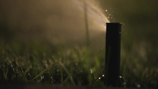 Water sprinkler watering lawn grass at night, cinematic slow motion shot