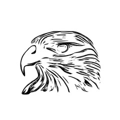 black and white sketch of an eagle's head with a transparent background for elements for making logos and symbols