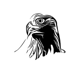 black and white sketch of an eagle's head with a transparent background for elements for making logos and symbols