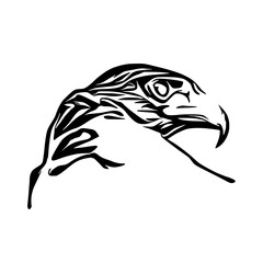 black and white sketch of an eagle's head with a transparent background for elements for making logos and symbols
