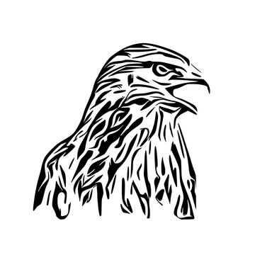 black and white sketch of an eagle's head with a transparent background for elements for making logos and symbols