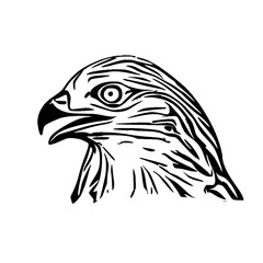 black and white sketch of an eagle's head with a transparent background for elements for making logos and symbols
