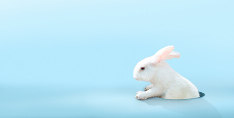 Cute Easter bunny on blue background