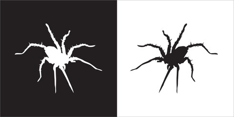 Illustration vector graphics of spider icon