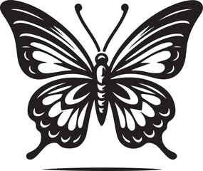 Butterfly Vector