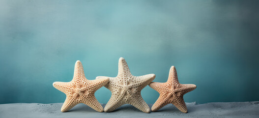 Fototapeta na wymiar Summer Vacation: Starfish on Sandy Beach, an Exotic Tropical Getaway with Blue Sea and Clear Blue Sky