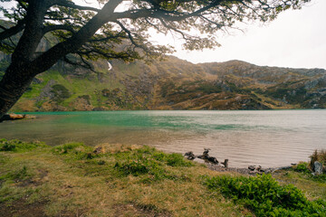laguna del Caminante, a lagoon in Ushuaia, Tierra del Fuego island, Patagonia Argentina