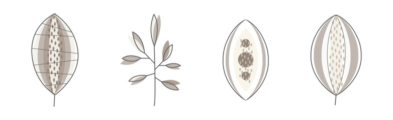 Simple Leaf and Foliage Element with Stem Vector Set