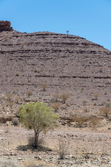 sparse vegetation and hill slope with layers of conglomerate and basalt in desert , near Fort Naiams,  Namibia