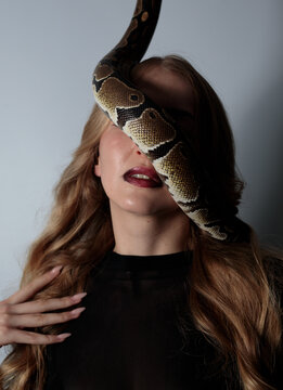 young blond woman with black dress and real snake python 