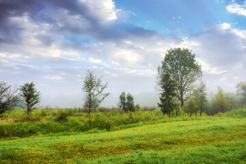 Fototapeta na wymiar rural landscape with deciduous trees and grassy field. distant forest beneath a cloudy sky. foggy morning weather