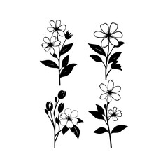 Jasmine flower black silhouette. Attractive tulips, jasmines, iris flower art vector illustration